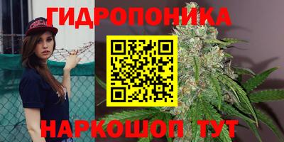 дмт Абинск